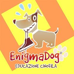 ASD EnigmaDog
