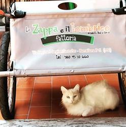La Zappa e il Lombrico
