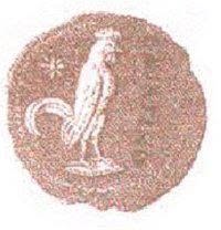 Associazione Pro Loco Caiazzo