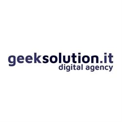 GeekSolution