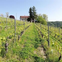 Cascina Carlén