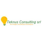 Teknus Consulting srl