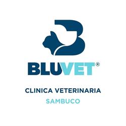 Clinica Veterinaria Sambuco - BluVet