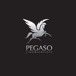 Pegaso Limo&Services