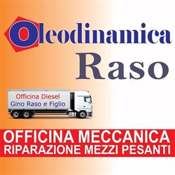 Oleodinamica Raso