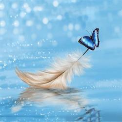 Angel Funeral Service
