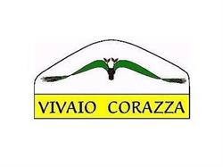 Vivaio Corazza, di Lucia Cortopassi
