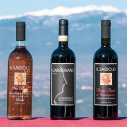 Cantina Podere IL SASSOLO Carmignano