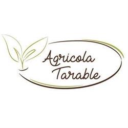 Agricola Tarable