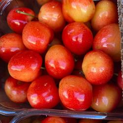 Frutta Gialloparma