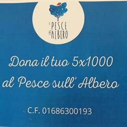 Il pesce sull’albero