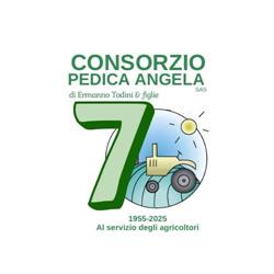 Consorzio Angela Pedica SAS