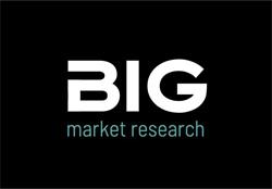 Business Intelligence Group S.r.l.