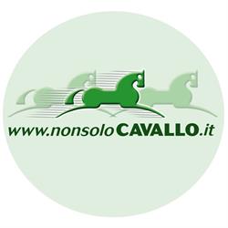 Non Solo Cavallo