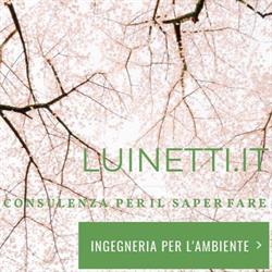 Luinetti.it