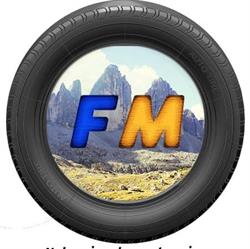 FleetMobility