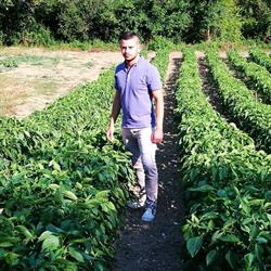 Azienda Agricola Il Ponte