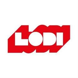 Lodi Edilizia Srl