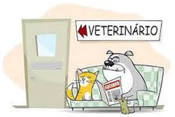Ambulatorio Veterinario Della Porta Di Della Porta Dott.Ssa Alessandra