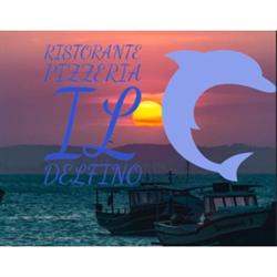 Il Delfino