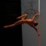 Gallery Professionale