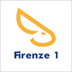 Solo Affitti Firenze 1