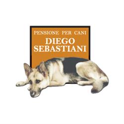 PensioneCaniRoma