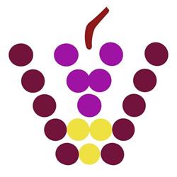 Wines Of Etna - Vini dell'Etna