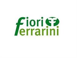 Fiori Ferrarini di Bertazzi Enrica