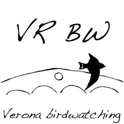 Verona Birdwatching