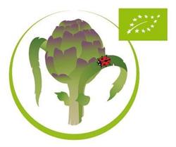 Il Carciofo di Montelupone biologico