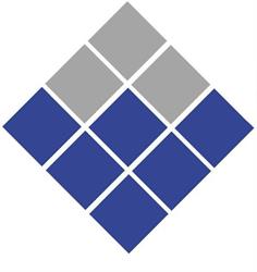 VIK SRL a socio unico