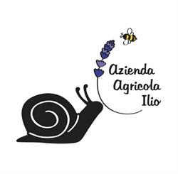 Azienda Agricola ILIO