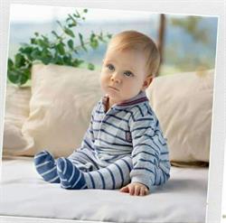 Rocco Junior
