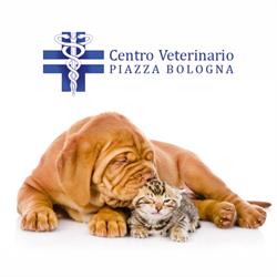 Centro Veterinario Piazza Bologna