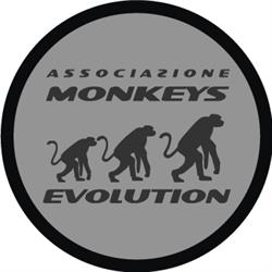 Monkeys Evolution