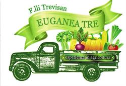 Euganea Tre Snc dei F.lli Trevisan