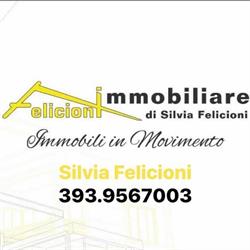 FELICIONI IMMOBILIARE di FELICIONI SILVIA