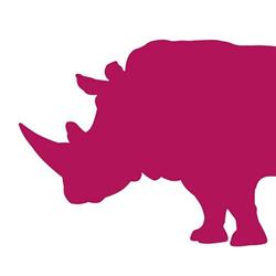 Rino Grafica e Stampa