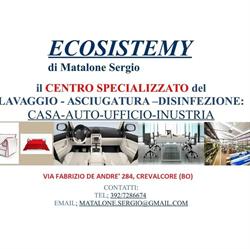 Ecosistemy di Matalone Sergio