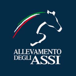 Allevamento degli Assi - Cavalli Sportivi