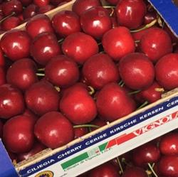 Un Mondo di Sapori da Sonia