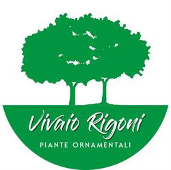 Vivaio Rigoni Piante Ornamentali