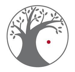 Amaranta Bio Bistrot