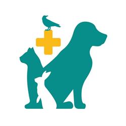 Ambulatorio veterinario Lamarmora