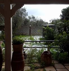 La Casina Del Grillo - Trattoria Tipica, grigliate di carne