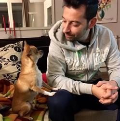Toelettatura Gli Amici di Pedro