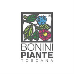 Bonini Piante Toscana