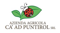 Azienda Agricola 'Cà ad Puntirol' - Eventi in azienda.