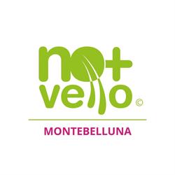 Nomasvello Montebelluna